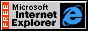 ie logo