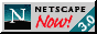 ns logo